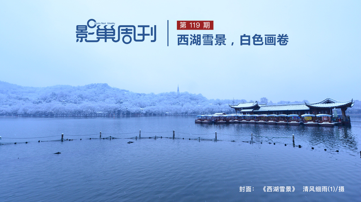 【影巢周刊】西湖雪景，白色畫卷