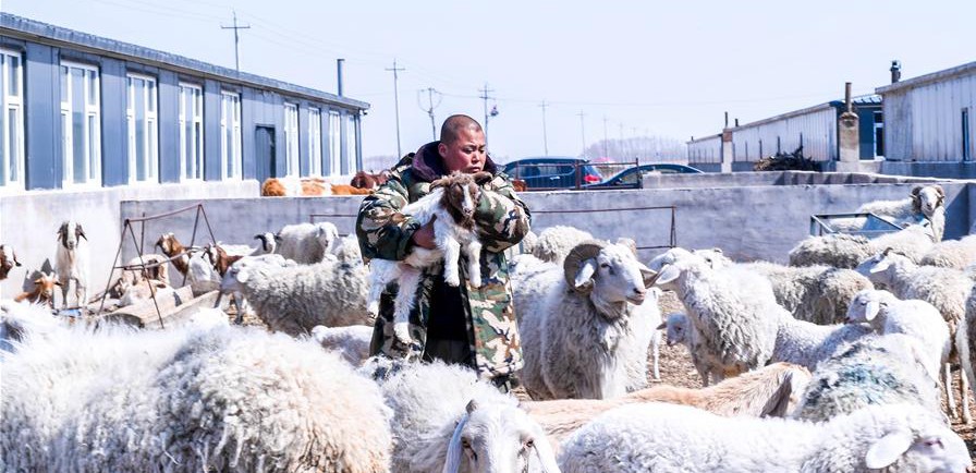 易地搬遷讓村民“住得好、能致富”