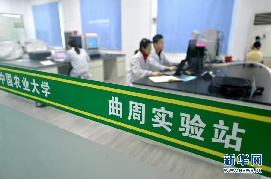 （愛(ài)國(guó)情 奮斗者·圖文互動(dòng)）（3） “解民生之多艱，育天下之英才”——中國(guó)農(nóng)大師生扎根田野書寫奉獻(xiàn)之歌