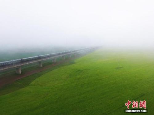 資料圖：動車組穿越雨霧中的油菜花海宛若穿越時空。 楊艷敏 攝