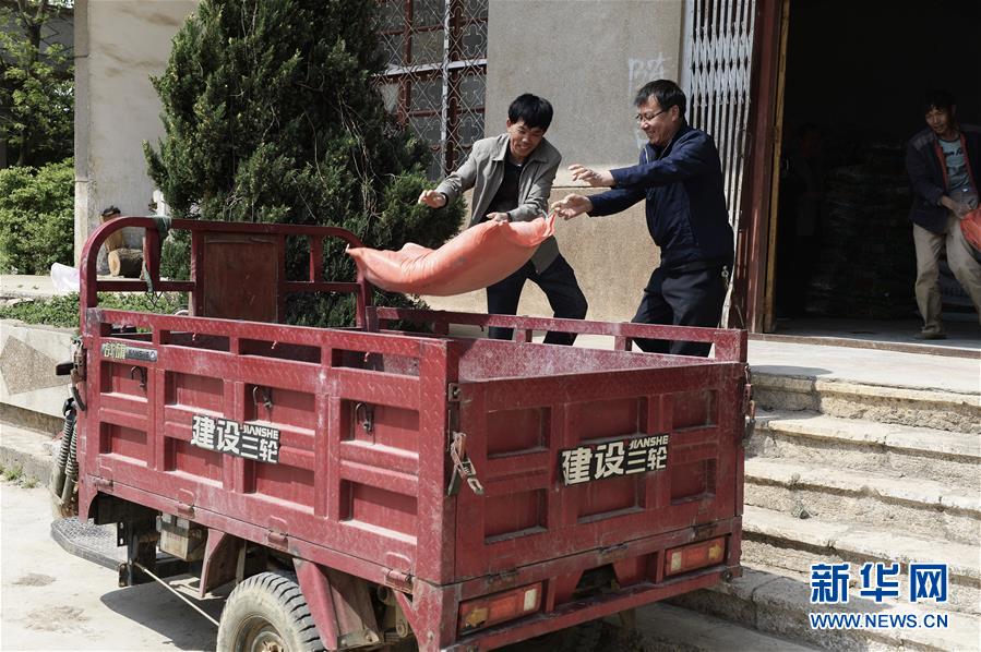 (在習近平新時代中國特色社會主義思想指引下——新時代新作為新篇章·圖文互動)(2)云南省陸良縣:農(nóng)民給供銷社打“白條”