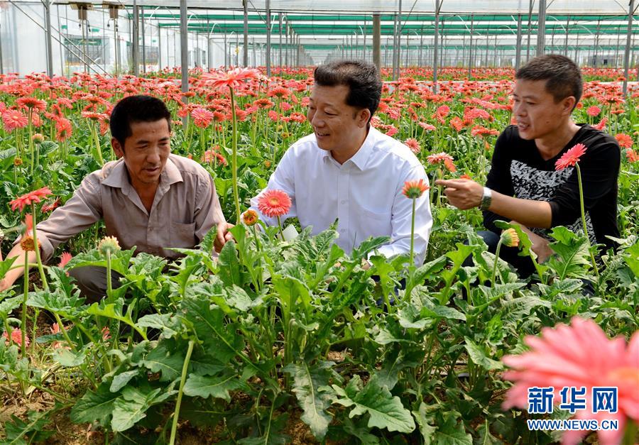 （新華全媒頭條·圖文互動）（6）鍛造領(lǐng)航復(fù)興的中流砥柱——寫在“不忘初心、牢記使命”主題教育即將啟動之際