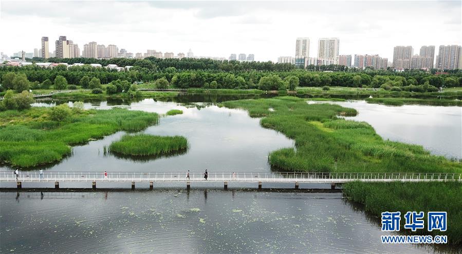 （走向我們的小康生活·圖文互動）（1）水清、地綠、空氣新——最北省份黑龍江繪就生態(tài)治理新畫卷