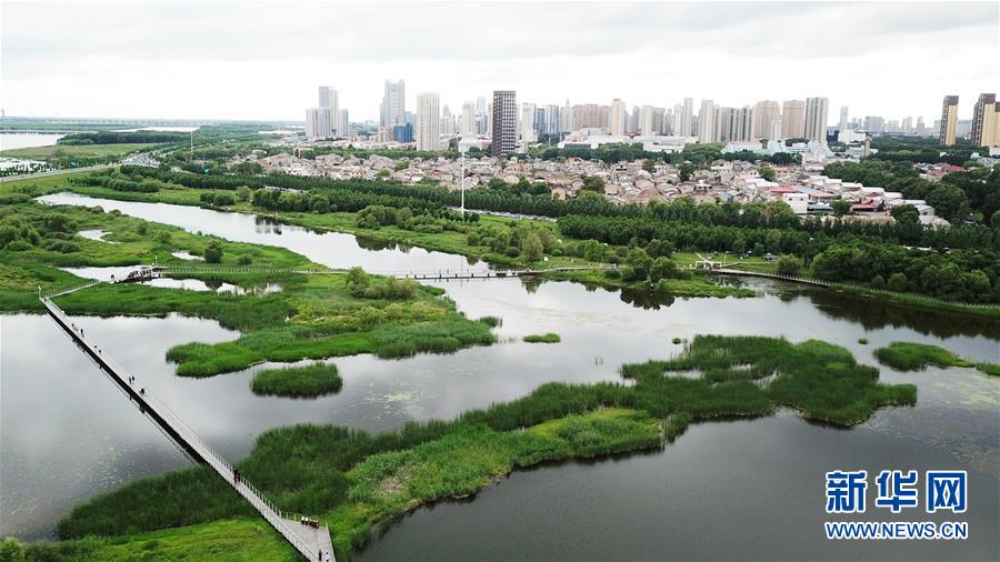 （走向我們的小康生活·圖文互動）（2）水清、地綠、空氣新——最北省份黑龍江繪就生態(tài)治理新畫卷
