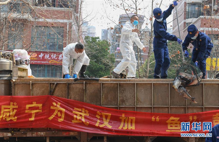 （新華全媒頭條·圖文互動(dòng)）（12）從人民中汲取磅礴力量——習(xí)近平總書(shū)記同出席2020年全國(guó)兩會(huì)人大代表、政協(xié)委員共商國(guó)是紀(jì)實(shí)