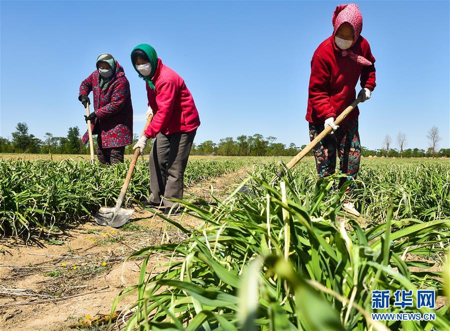（新華全媒頭條·圖文互動(dòng)）（17）從人民中汲取磅礴力量——習(xí)近平總書(shū)記同出席2020年全國(guó)兩會(huì)人大代表、政協(xié)委員共商國(guó)是紀(jì)實(shí)