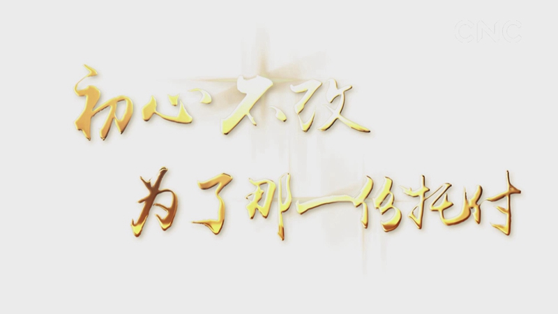 初心不改，為了那一份托付