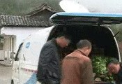 特寫:一個森林管護員的堅守