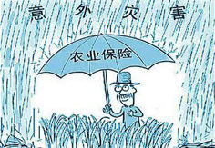 我國農業(yè)保險業(yè)務規(guī)模居全球第二