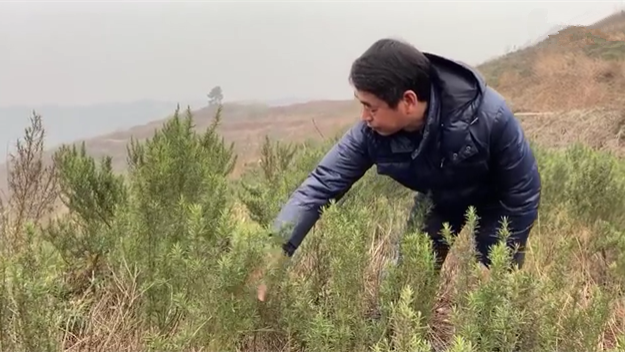 新春走基層｜脫貧后，駐村扶貧隊(duì)長在干啥？