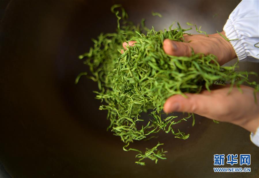 （亞洲文明對(duì)話(huà)大會(huì)）（8）茗香亞洲 茶韻綿長(zhǎng)